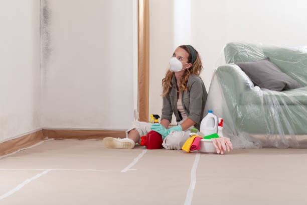Reliable Mold Inspection contractor in Juliustown, NJ by WQB Mold Removal